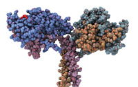 molecules